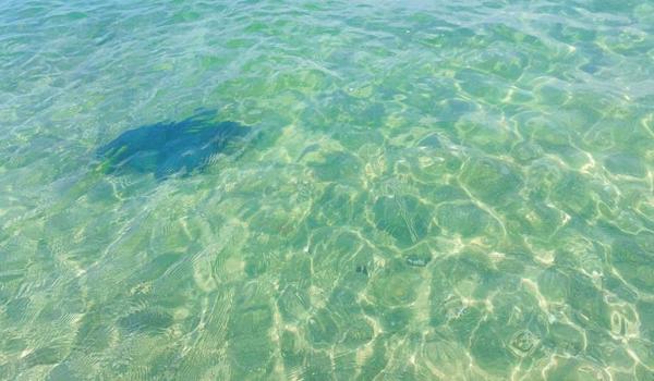 三角洲行动变态科技(推荐一些三角洲行动的变态科技) 三角洲行动变态科技(推荐一些三角洲行动的变态科技)